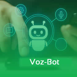 Voz bot